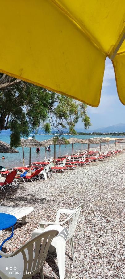 Koralli Beach Niforeika Exterior foto