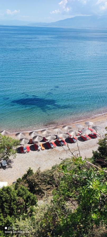 Koralli Beach Niforeika Exterior foto