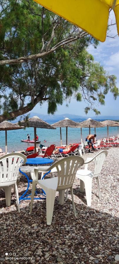 Koralli Beach Niforeika Exterior foto